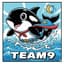 Team9